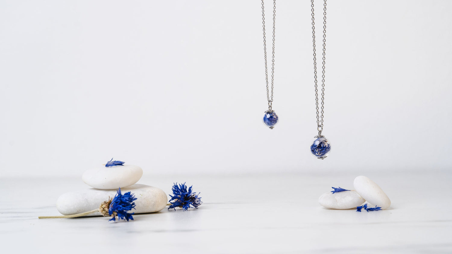 💙 Fiordaliso: l’amicizia che supera ogni distanza