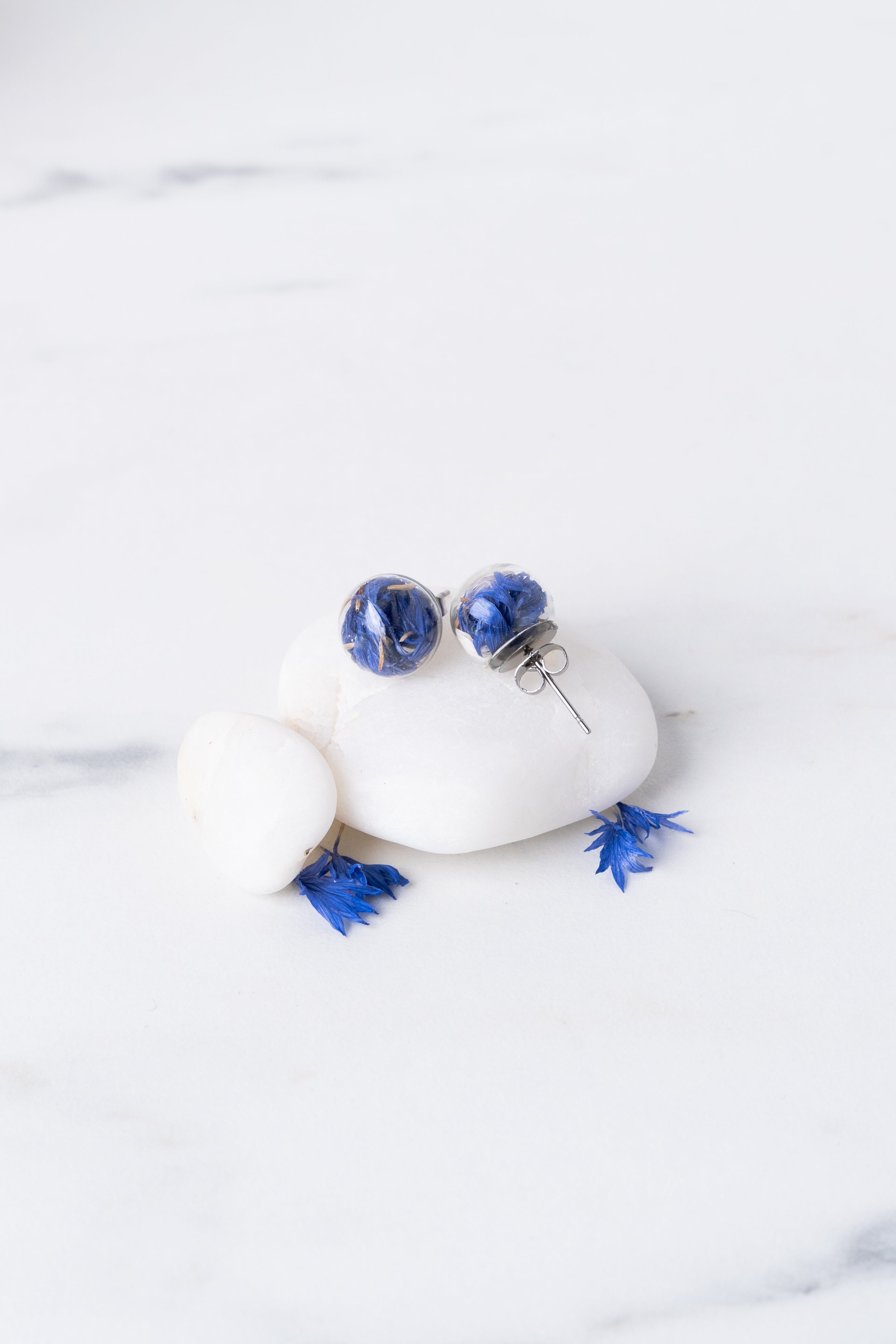 Stud Earrings - Cornflower